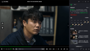 PC爱奇艺v10.3.0.6753绿色版-灵锡网