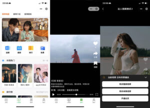 付费短剧小程序源码 小剧场短剧影视小程序源码 带支付收益等-灵锡网