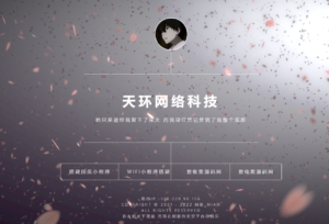 超级好看的动态视频官网引导页源码-灵锡网