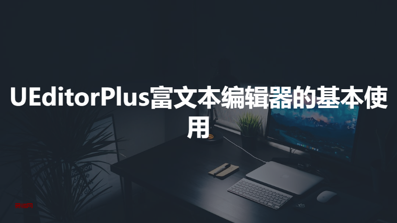 UEditorPlus富文本编辑器的基本使用