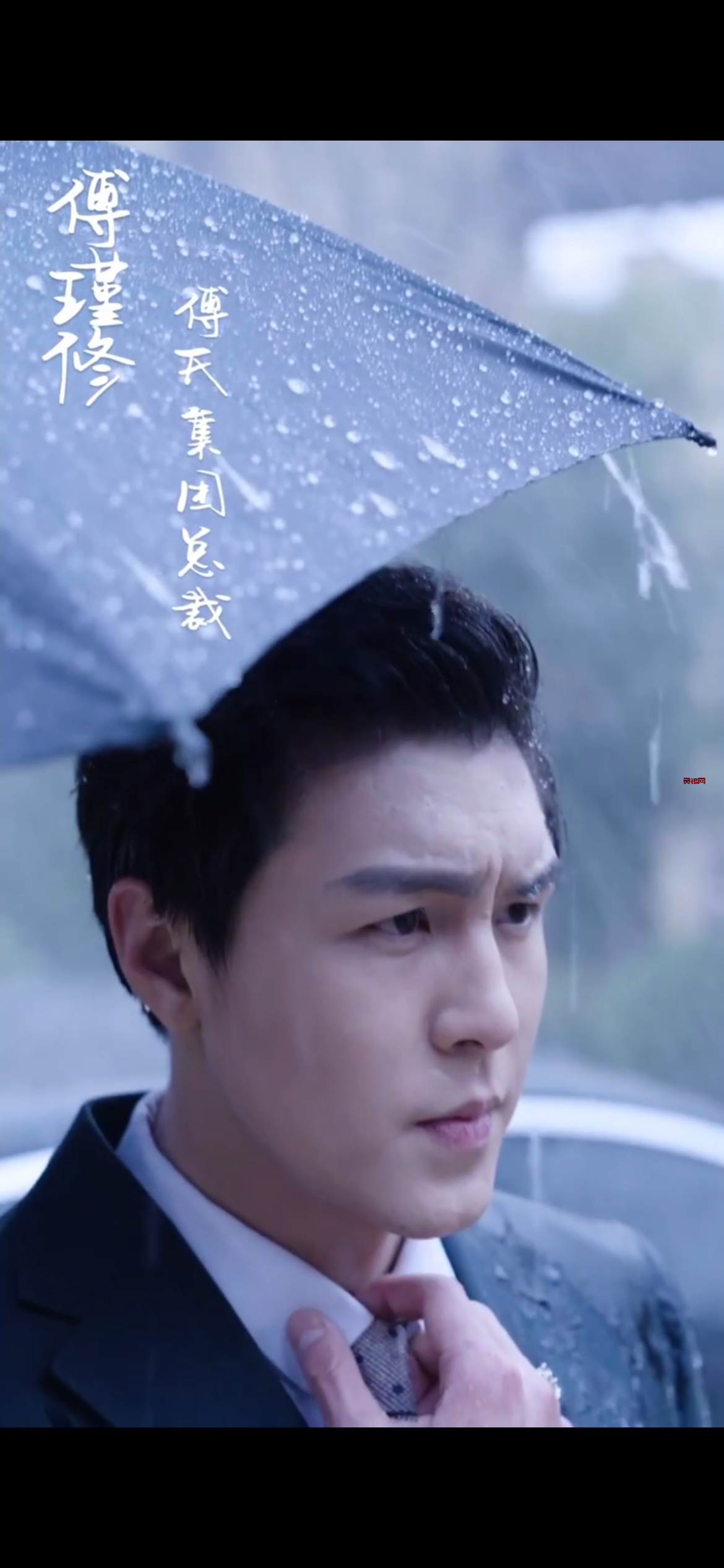 《网剧》-腹黑总裁的惹火娇妻-灵锡网