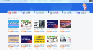 网创网赚教程自动采集wordpress插件并发布-灵锡网