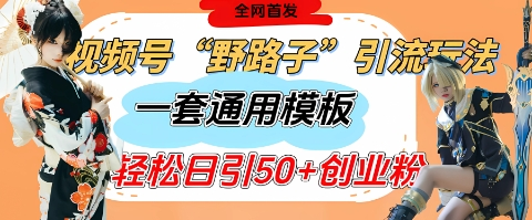 视频号“野路子”玩法，评论区疯狂截流，一套模板单日单号引流50+创业粉-灵锡网