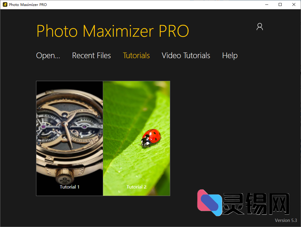 InPixio Photo Maximizer(图片无损放大软件) v5.3.8625-灵锡网
