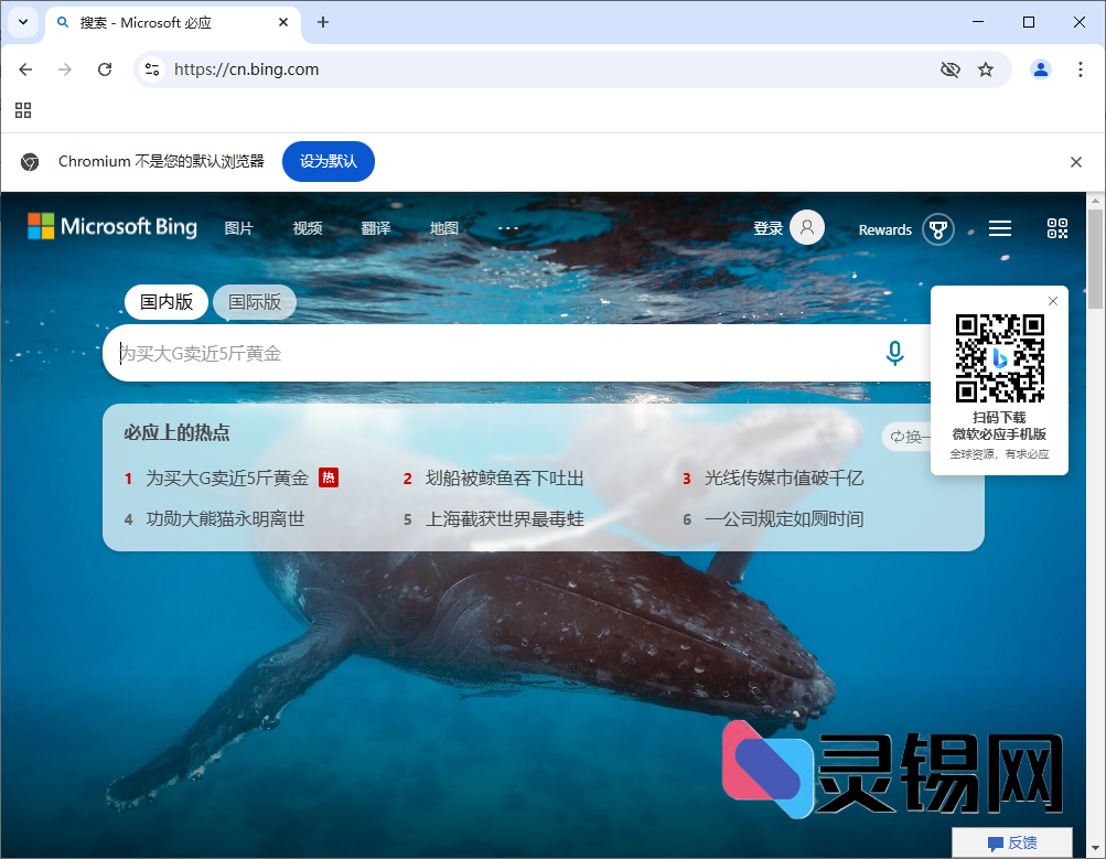 Ungoogled-Chromium v137.0.7151.103-1.1-灵锡网