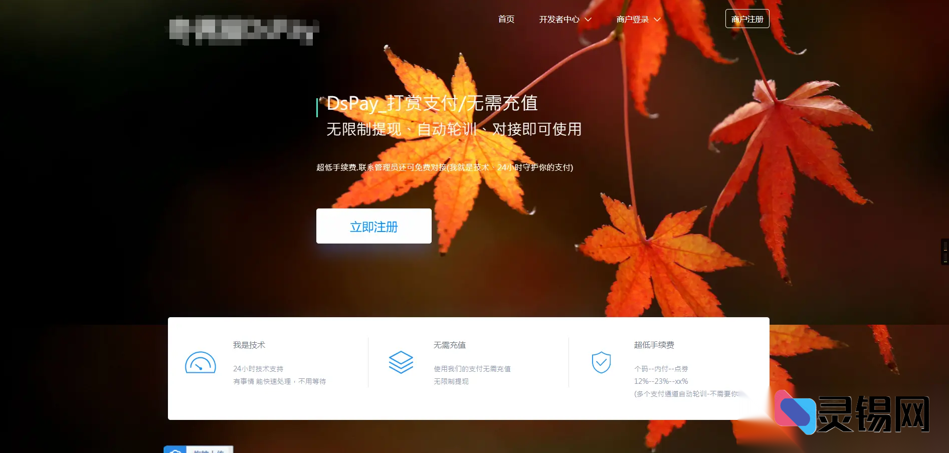 无需填金额！个码免签支付实时监控App+聚合支付后端源码打包-灵锡网