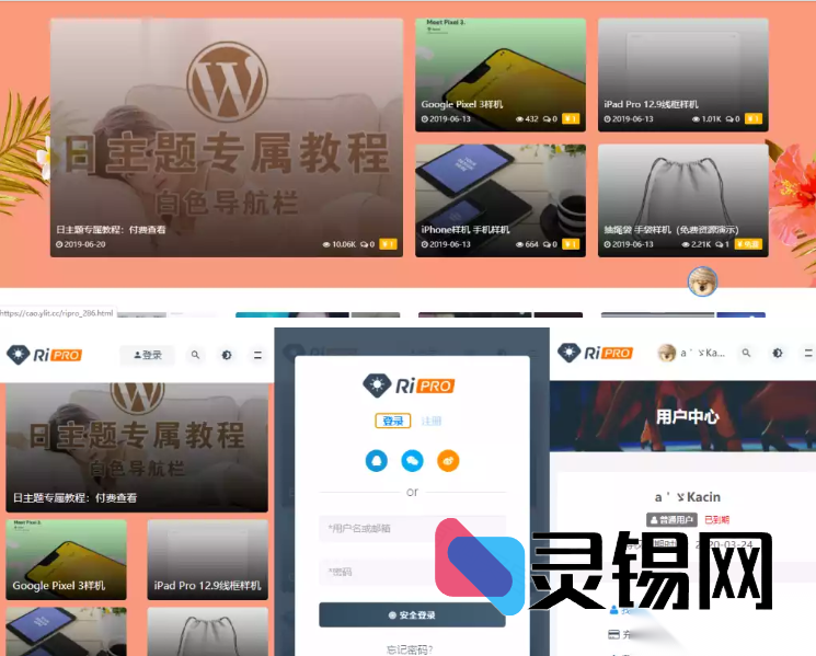最新 RiPro 8.7 去授权绿色版,全功能开放零门槛-灵锡网