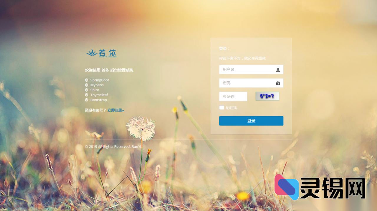 一键获取RuoYi 4.5.1管理端源码，内置自动化定时任务-灵锡网