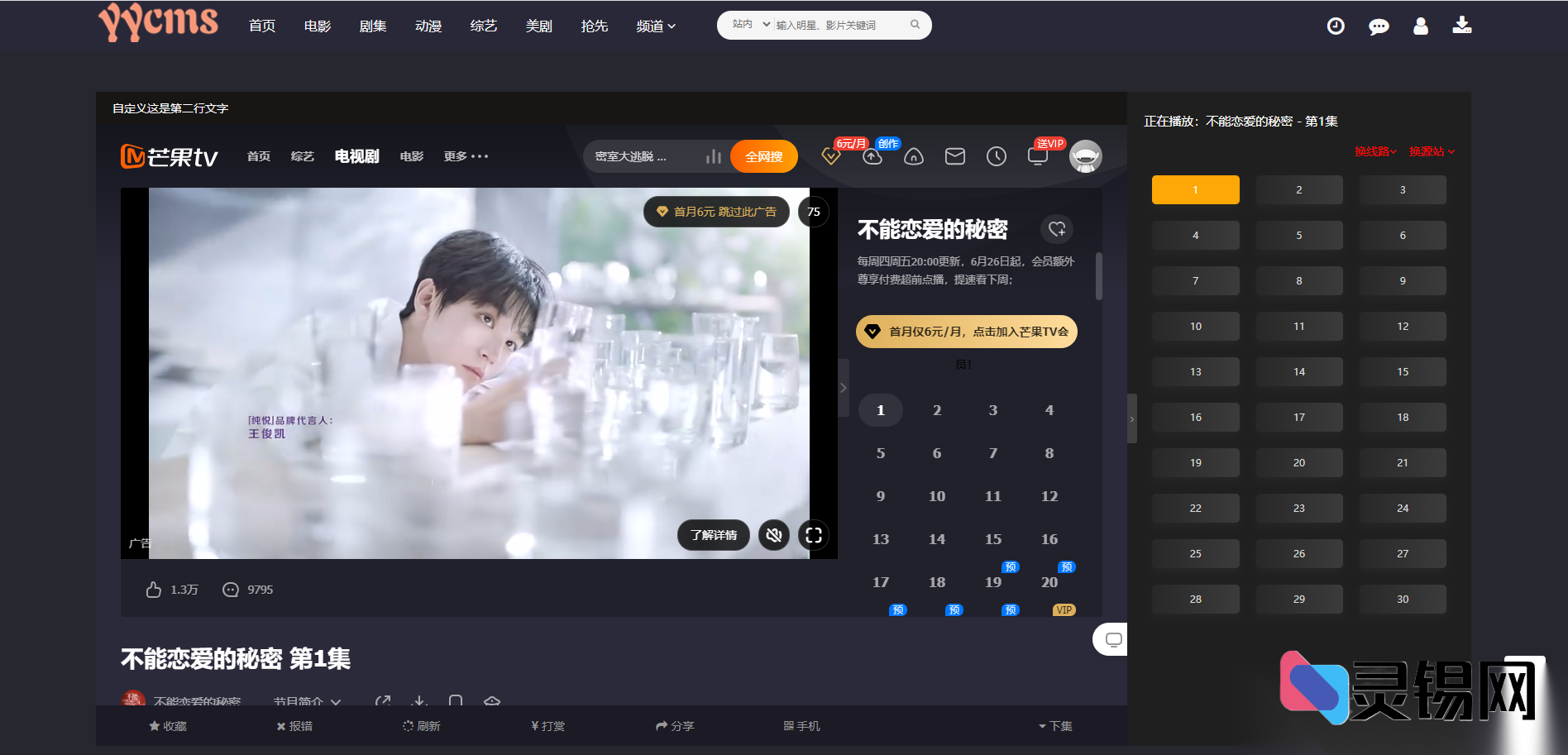 影视站速成方案：YYCMS5.0纯净开源版，无加密无授权，全自动聚合更新片库-灵锡网