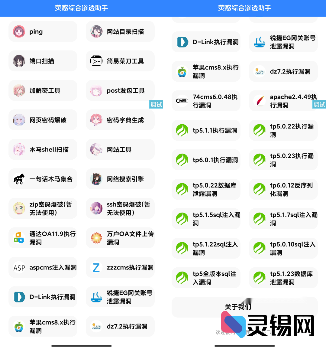 IAPP火星门户渗透核心源码解析-灵锡网